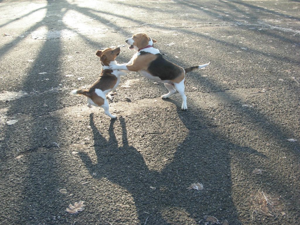Max e Nike